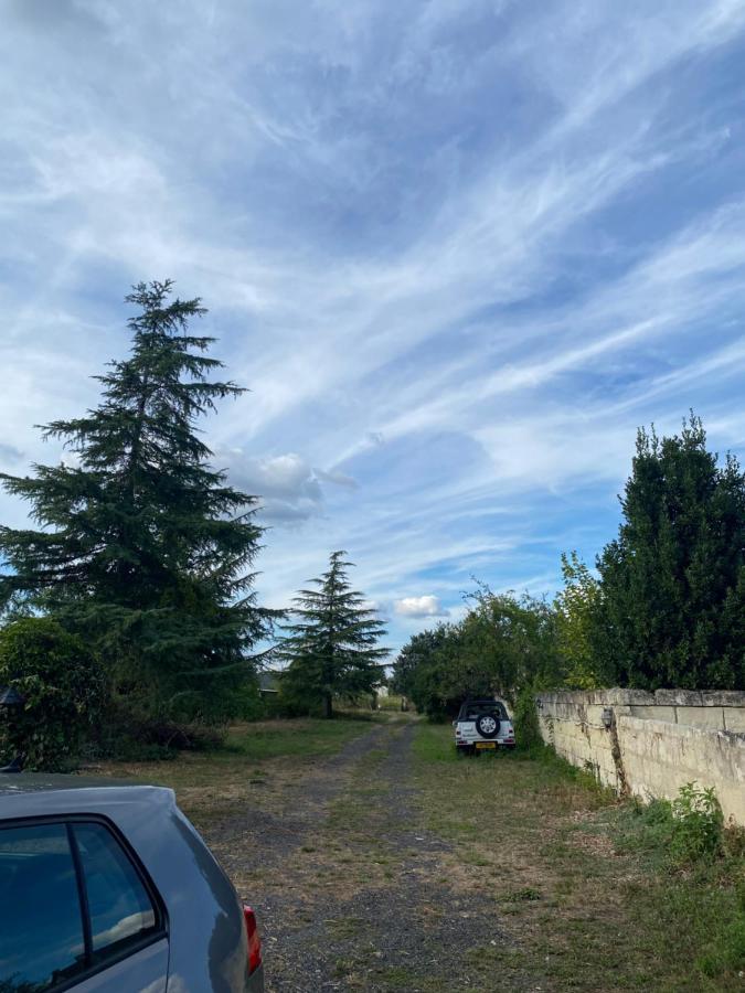 Gites De La Levee Chouzé-sur-Loire Exterior foto